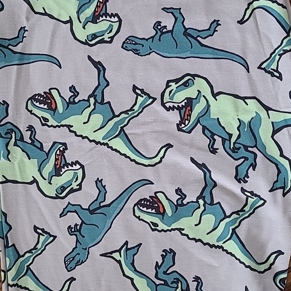 🔥 NEW MeUndies Dinosaur Rawr Adult Onesie Size S/M NEW BNNU UNISEX